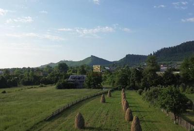 Teren 10304 mp cu casa locuibila! In Bucovina, Zona M... - 11