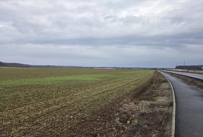 Teren 15000 mp intr. in Scrovistea langa Snagov - 7