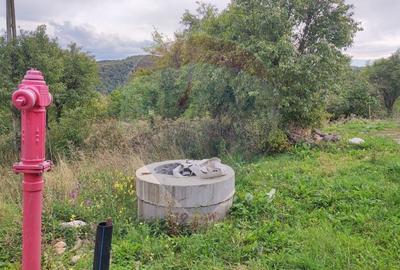 Teren constructii si faneata/livada 3082 mp Damis Bratca drum DJ 764D - 5