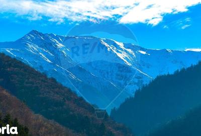 Teren de 17939 mp, în Mănești - 7