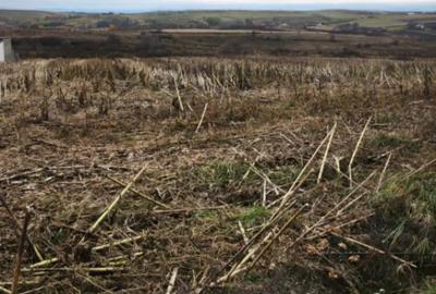 Teren de 5000 mp, în Central - 1