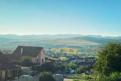 Apartament cu 2 camere semidecomandat în Cetate - 2