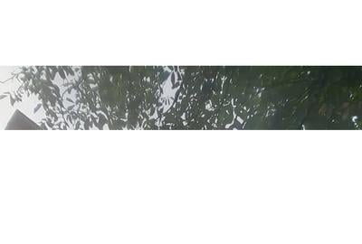 Casă cu 3 camere în Poiana Blenchii - 1