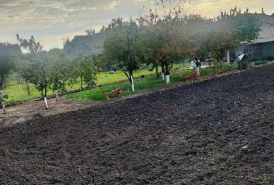 Casă cu 2 camere în Șofronea - 3