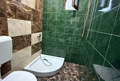 Spațiu comercial, de 385 mp, în Aiud - 14