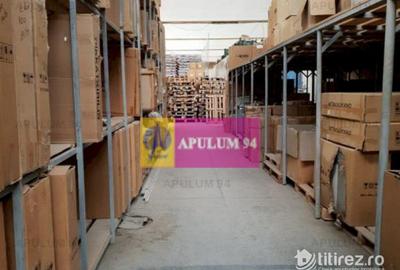 Hala 3600mp zona de Sud a capitalei - 17