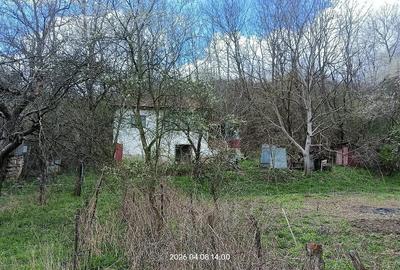 Casă cu 3 camere cu Teren 3600 Mp în Central - 3