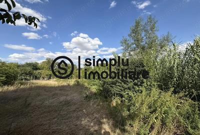 Casă cu 3 camere cu Teren 1676 Mp în Malu Mare - 5