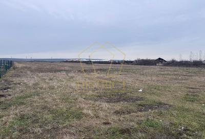 Teren agricol extravilan de 9858 mp, în Vest - 1