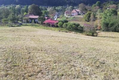 Teren de 7000 mp, în Negreni - 6
