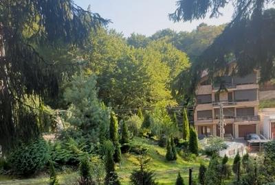 Apartament cu 2 camere decomandat, mobilat în Drumul Poienii - 1