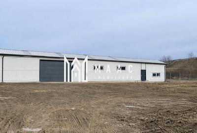 Spațiu industrial, de 200 mp, în Săcel - 1