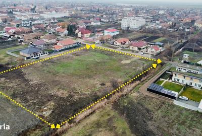 Teren de 6000 mp, în Săcălaz - 2