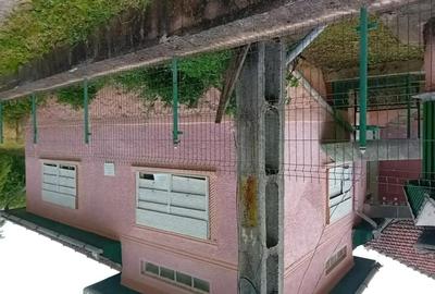 Casă cu 4 camere în Rișculița - 1