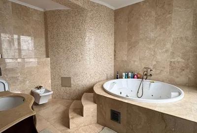 Dudu Chiajna, vanzare vila de lux - 1