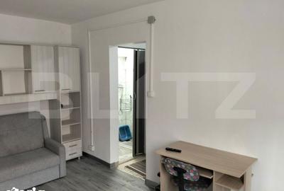 Garsonieră, mobilată în Bucium - 8