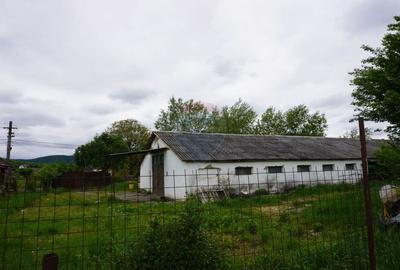 Teren Construcții intravilan de 10941 mp, în Sud-Est - 2