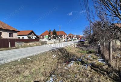 Teren de 6504 mp, în Curtișoara - 2