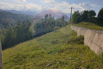 Teren de 2000 mp, în Peștera - 9
