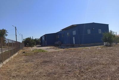 HALA ideala pentru PRODUCTIE ALIMENTARA, Poiana, Ovidiu - 827 mp, teren 4066 mp - 17