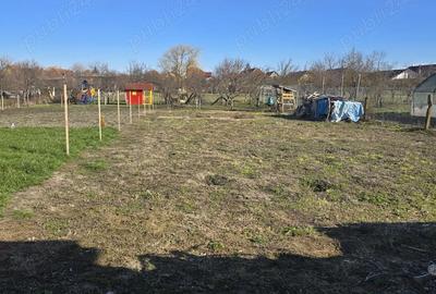 Casă cu 2 camere cu Teren 899 Mp în Covaci - 10