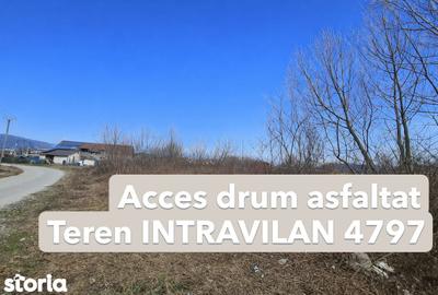 Teren de 4797 mp, în Bujoreni - 8
