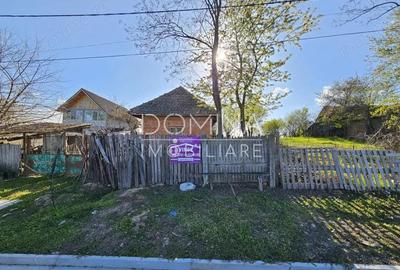 Vanzare teren 4606 mp - Sat Balta - Runcu - la aproximativ 20 km de Targu Jiu - 1