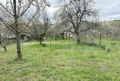 Teren intravilan 1270 mp Spitalul TBC | Dealuri Oradea - 2