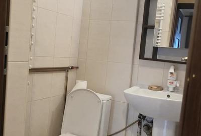 Vand apartament 3 camere decomandat, vis-a-vis de Parcul Tineretului - 7