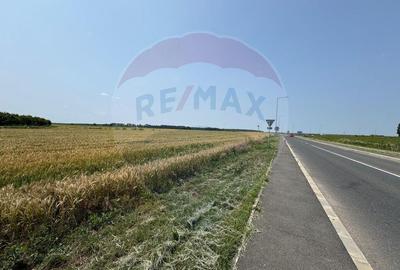 Teren ideal pentru dezvoltare mixta acces A0, Vadul Anei/... - 7