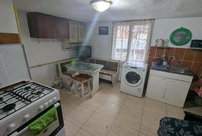 Casa cu gradina ?i livada in Nadrag - 6