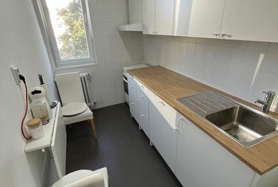 3 camere renovat decomandat Dristor | P-ța Râmnicu Sărat - 6