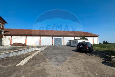 Hala de la 500 mp depozitare productie - 4