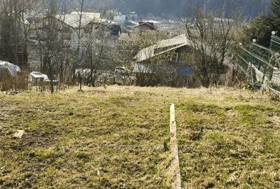 Teren Construcții intravilan de 439 mp, în Zamora - 3