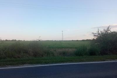 Teren Construcții intravilan de 15000 mp, în Răstoaca