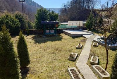 Iaz de vanzare in Apuseni- cazare, agrement si pescuit la DN74 - 13