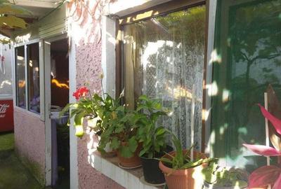 Teren + Casa Giurgiului Alunisului - 4