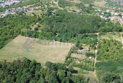 Teren Construcții intravilan de 1200 mp, în Paleu - 5