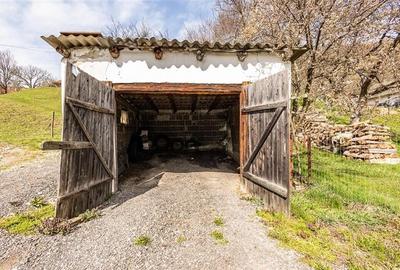 FILM! Rezidenta traditionala, peisagistica impresionata, domeniu de 6.500mp, Moi FILM! Rezidenta traditionala, peisagistica impresionata, domeniu de 6.500mp, Moi - 12