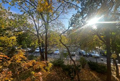 Tineretului Metrou Vedere Parc Tineretului Metrou Vedere Parc - 26