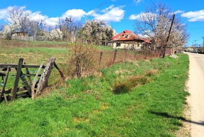 Teren Construcții intravilan de 2592 mp, în Polovragi - 9