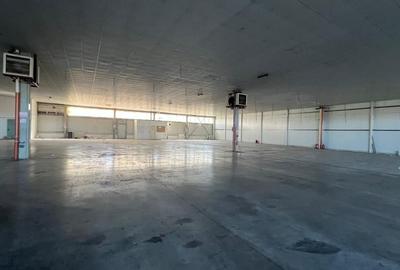 Hala 1400 pentru depozitare sau productie Hala 1400 pentru depozitare sau productie - 6