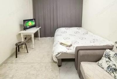 Apartament cu 2 camere decomandat în Scriitorilor