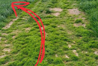 Apartament cu 2 camere decomandat în Pantelimon