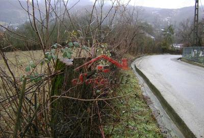 Teren de 2656 mp, în Drăgăneasa - 11