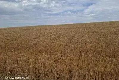 Teren Extravilan Pribesti, ID: R2774827 - 5