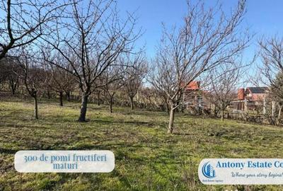 Casă cu 5 camere în Central - 12