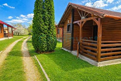 Proprietate specială, în Remetea - 2