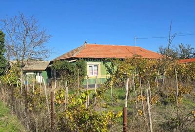 Casă cu 4 camere cu Teren 3600 Mp în Brătășani - 1