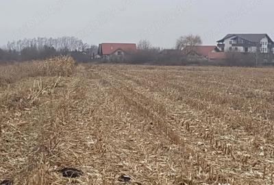 Teren de 2932 mp, în Central